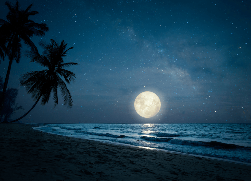 Moon over the Beach